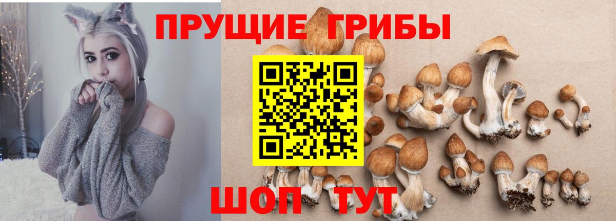 Галлюциногенные грибы GOLDEN TEACHER  Галлюциногенные грибы Cubensis  Гусь-Хрустальный  Вход с VPN 