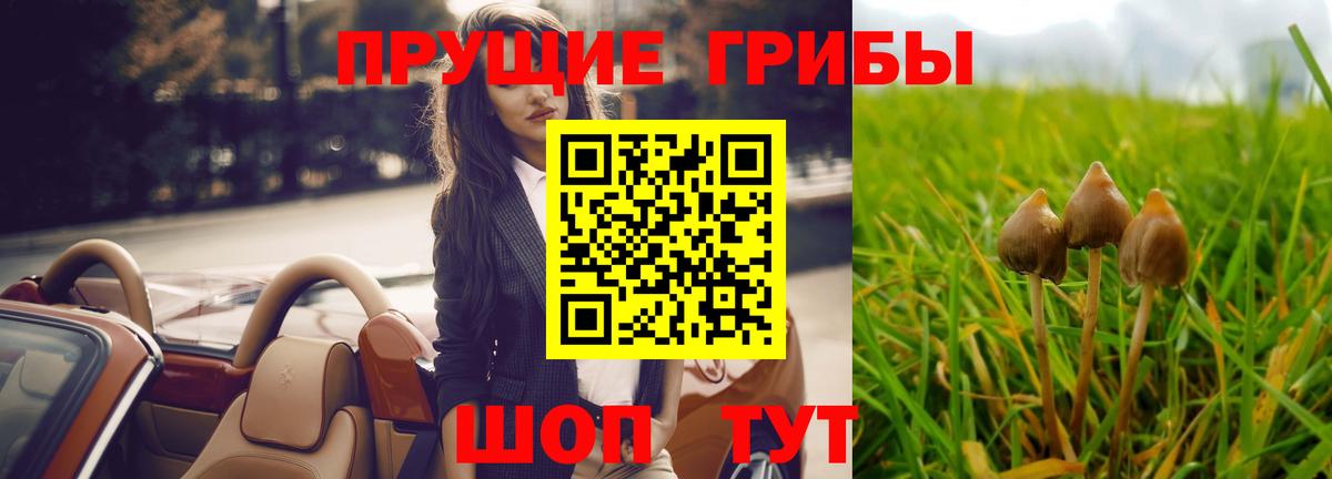 Галлюциногенные грибы мицелий Гусь-Хрустальный